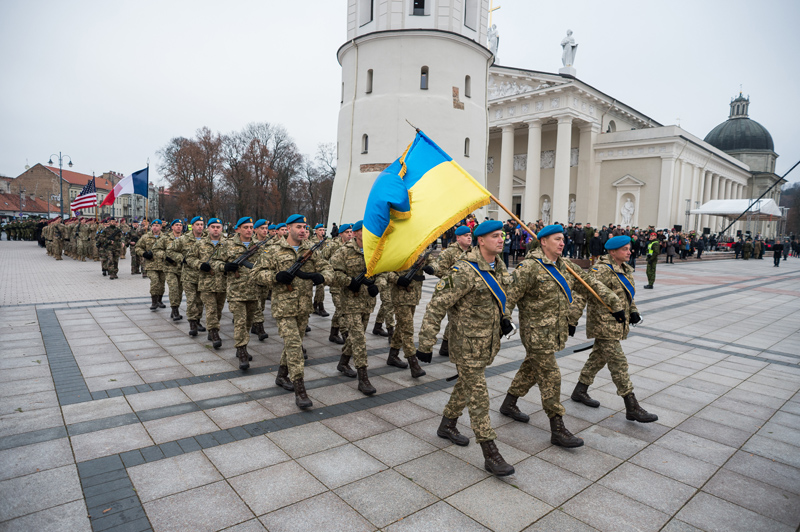 Ukraine’s Ministry of Defence Policy Director on a visit in Lithuania