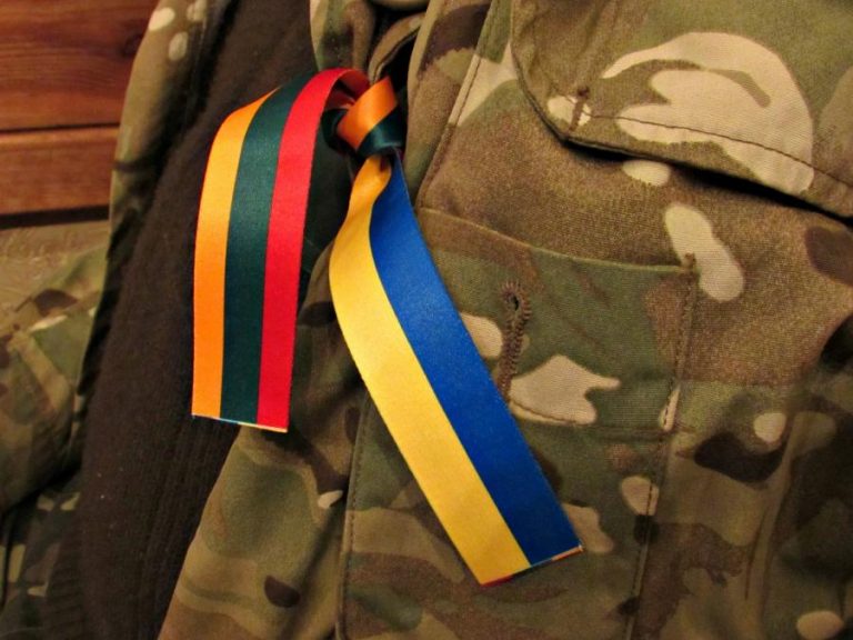 Lithuania hands over warplane to Ukraine