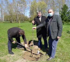  Šiemet minime Lietuvai pagražinti draugijos 100-mečio jubiliejų