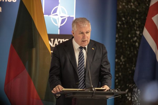  Su Vokietijos gynybos ministre susitikęs A. Anušauskas: papildomi NATO pajėgumai Lietuvoje gali būti dislokuoti labai operatyviai