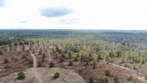  Parliament approved military range development at Rūdninkai, works commence