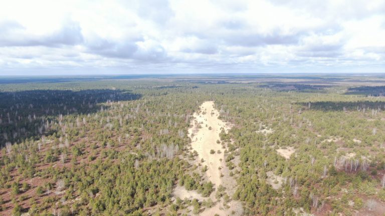 Parliament approved military range development at Rūdninkai, works commence