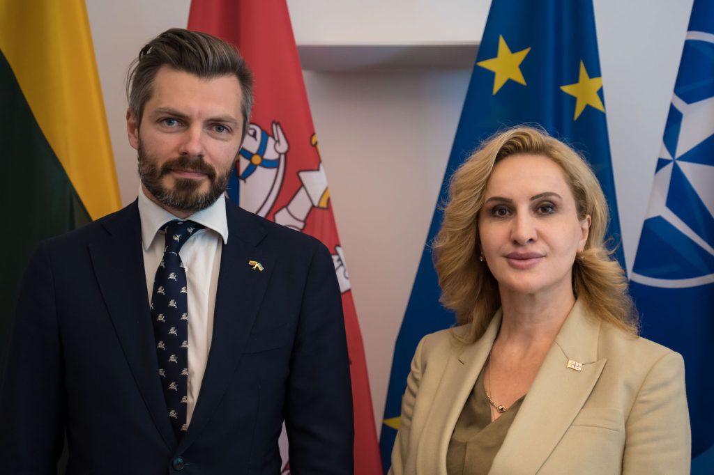 Regional security, Georgian NATO integration and bilateral cooperation discussed with First Deputy Defence Minister of Georgia