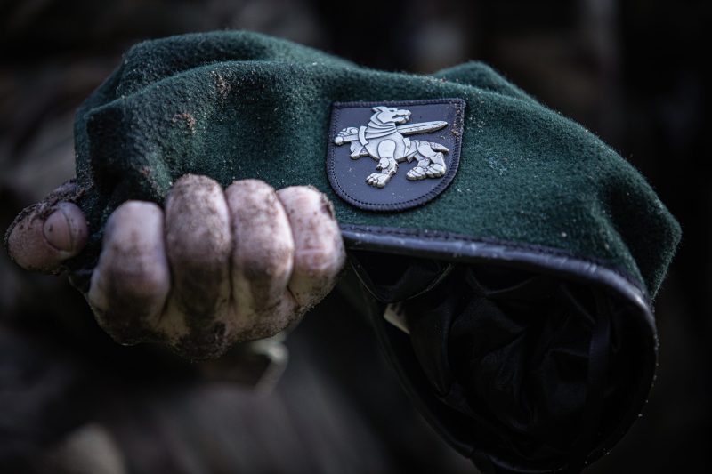 Krašto apsaugos sistemos žingsniai į priekį: visi svarbiausi skaičiai – viename leidinyje
