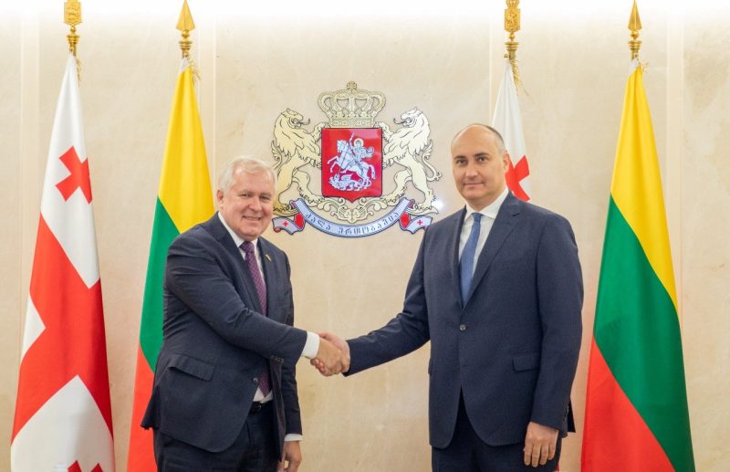 Sakartvele apsilankęs ministras A. Anušauskas išreiškė tolesnę paramą šalies euroatlantinei integracijai