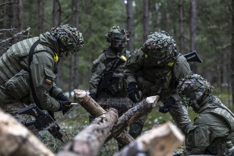 Teisingi strateginiai sprendimai – viena svarbiausių Lietuvos gynybos plano dalių