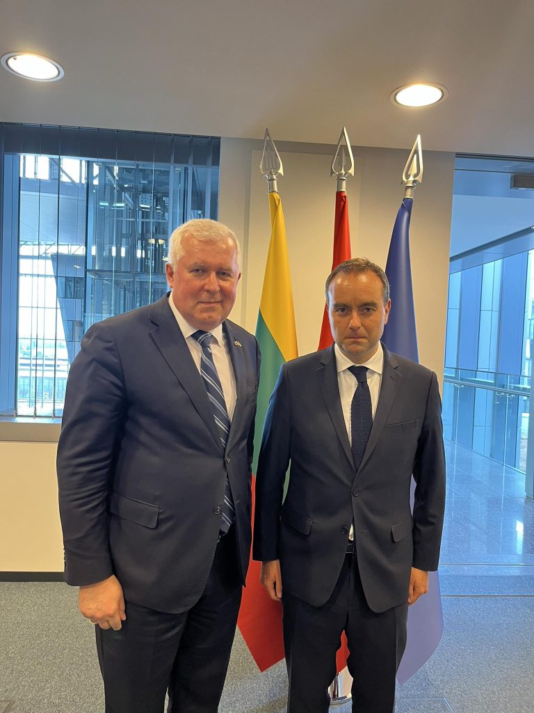 Lithuanian and French Ministers of Defence discussed Caesar Mark II development  