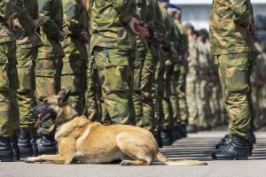  Tarnybą Rukloje pradėjo keturioliktoji NATO priešakinių pajėgų bataliono kovinės grupės rotacija