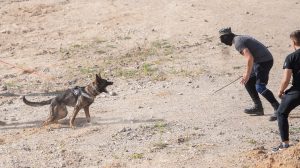  Pasienyje su Baltarusija per taktines pratybas patikrinta pasienio pareigūnų ir kariuomenės sąveika