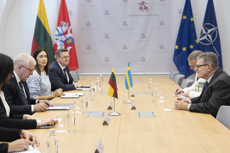 Aptartas galimas Lietuvos ir Švedijos karinio bendradarbiavimo stiprinimas