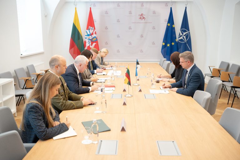 A. Anušauskas su Estijos ambasadoriumi aptarė paramą Ukrainai: raginame jungtis prie išminavimo koalicijos