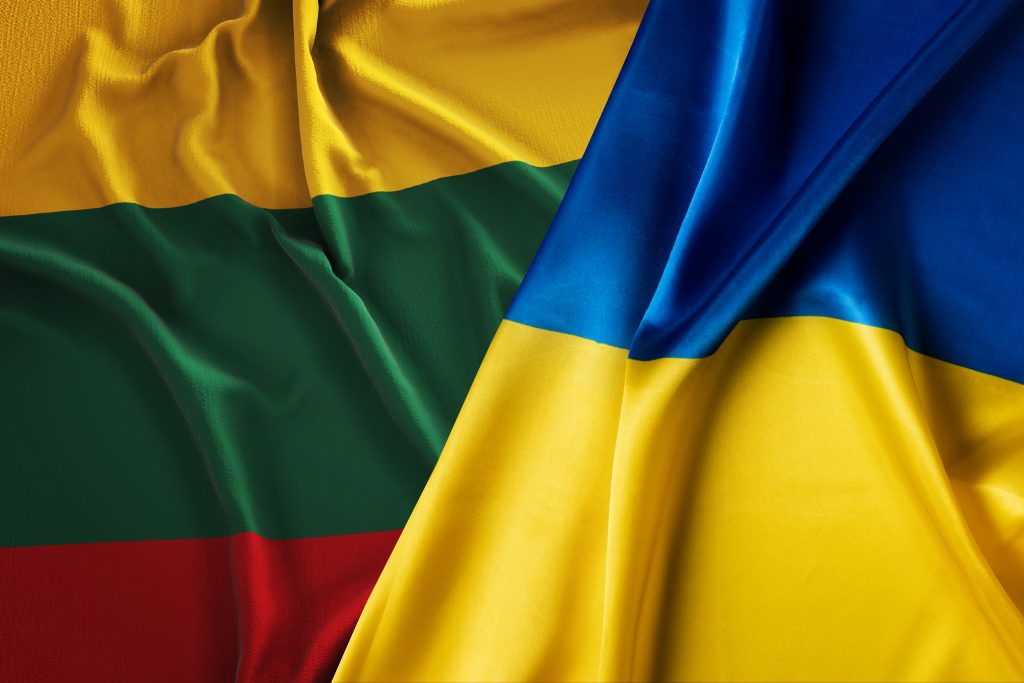 Krašto apsaugos ministrė D. Šakalienė: neveikimas Ukrainoje tiesiogiai paveiks saugumą mūsų regione