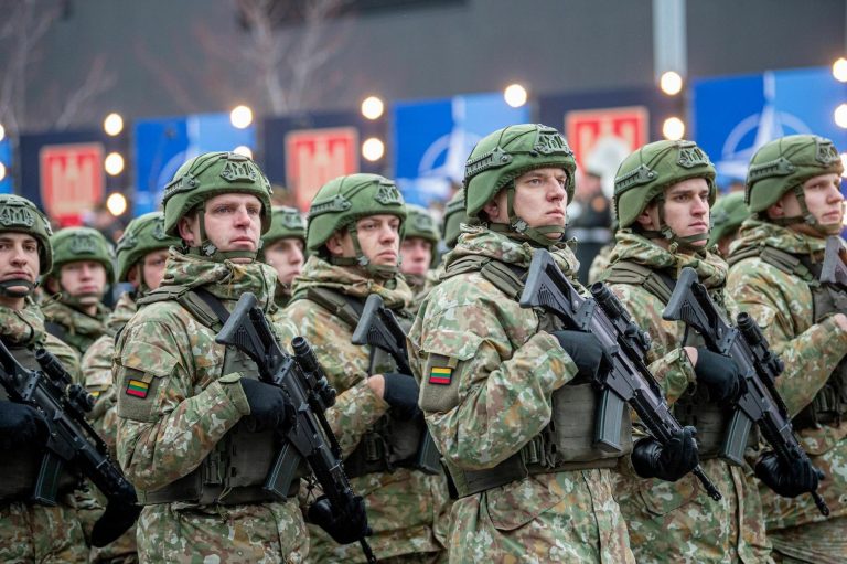 Žalia šviesa stipresnei oro gynybai: Seimas pritarė KAM pasiūlymams
