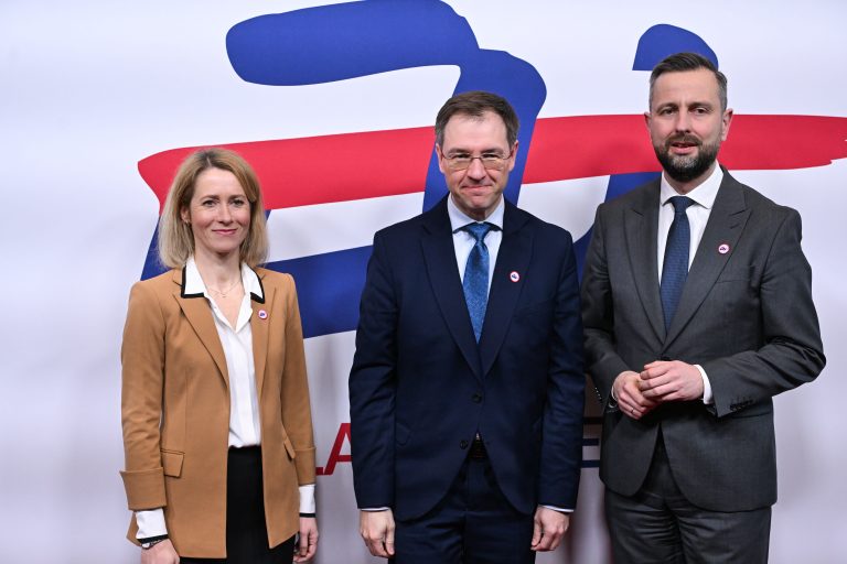 Viceministras K. Aleksa: ES neatidėliotinai turi ieškoti būdų, kaip patenkinti kritinius Ukrainos poreikius