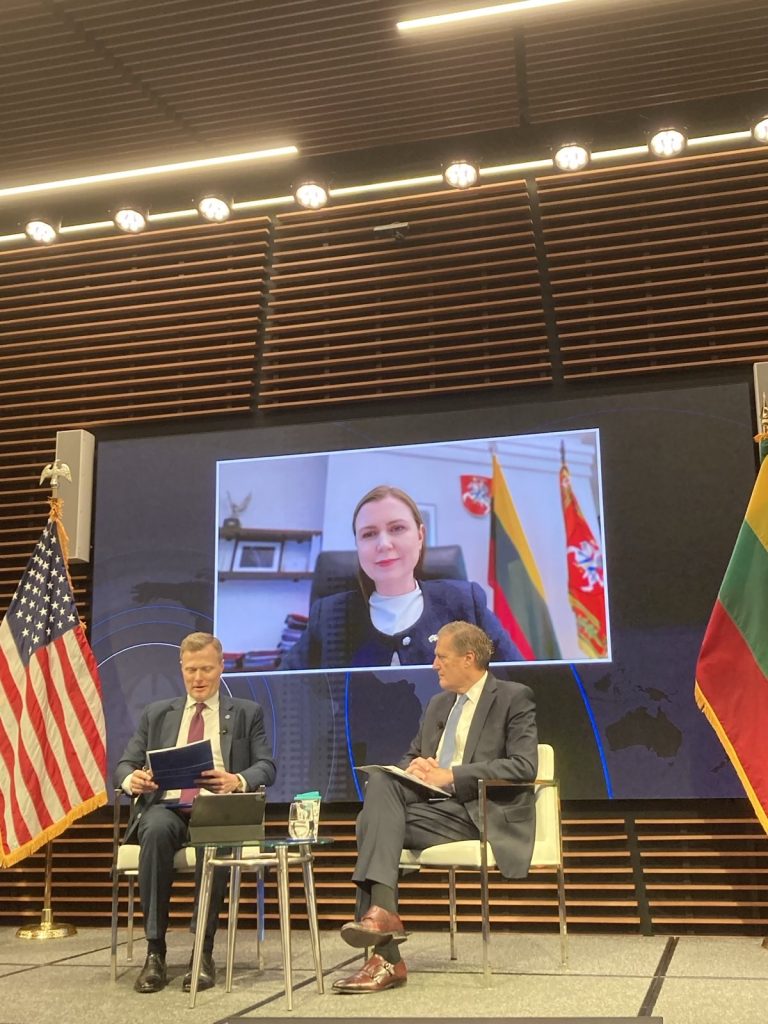 The decision time is now or others will decide, says Minister D. Šakalienė in a discussion on the future of NATO