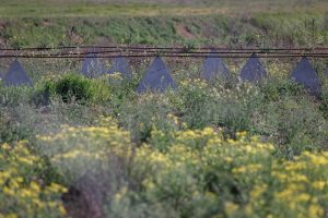  Krašto apsaugos viceministras T. Godliauskas: Išmoktų pamokų perėmimas iš Ukrainos yra raktas į sėkmingą valstybės ir visuomenės parengtį