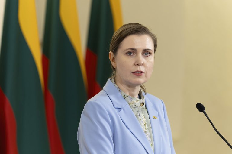 D. Šakalienė Briuselyje: „Voratinklis“ yra būtent toks spaudimas, kokį ir turi patirti rusija