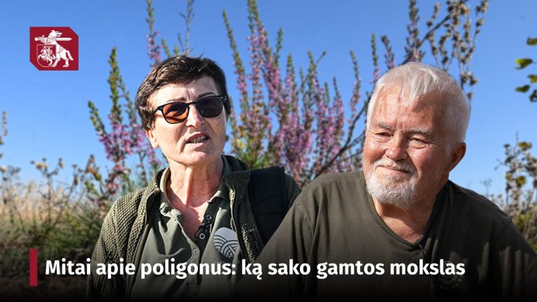 5 mitai apie poligonus: ką sako gamtos mokslas