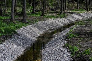  Kodėl poligonai ir gamtosauga yra suderinami?